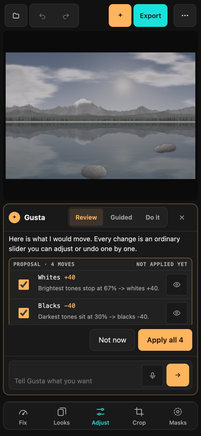 Gusta Photo on a phone: the gray and flat practice photo at the top, and below it Gusta's proposal of whites and blacks moves with Not now and Apply all 4 buttons